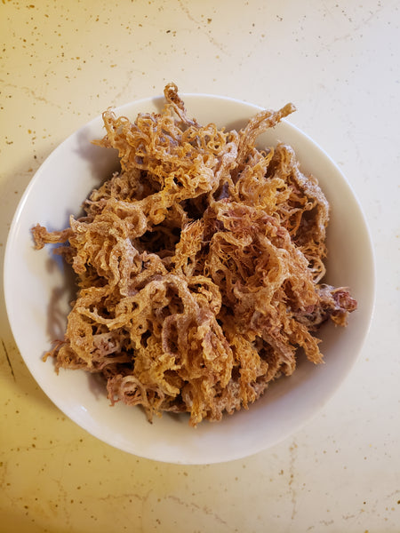Sea Moss - 4 oz